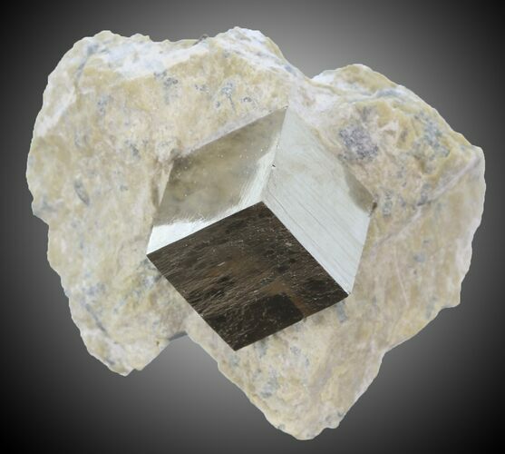 mm Pyrite Cube on Matrix - Navajun, Spain #30953